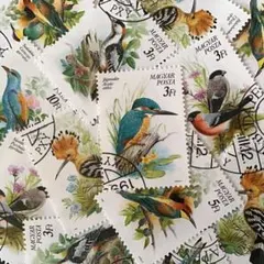 ちゃむ様 リクエスト 2点 まとめ商品