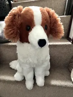 デコピン風ぬいぐるみ　コーイケルホンディエぬいぐるみ