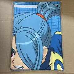イナズマイレブン 風丸一郎太 応援垂れ幕 - メルカリ