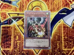 2026年最新】ドロール&ロックバード シークレットの人気アイテム