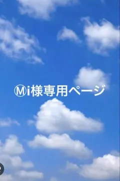 フェルトおままごと　Ⓜ︎i様専用ページ