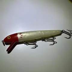 レッドフィン　コットンコーデルのサムネイル