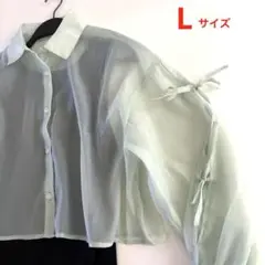 薄グリーンのシアーシャツ