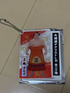 大相撲 アクリルトレカ 王鵬関
