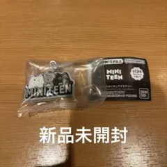 SEVENTEEN MINITEEN ガチャガチャ めじるしアクセサリー　ジュン