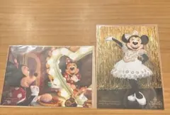 【お値下げ中】ミニー♡ディズニーImagning the Magic フォト2L