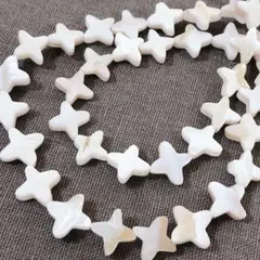 dp604/SALE！シェル◇手裏剣形　2連