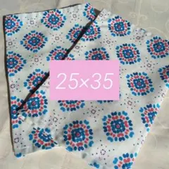 Item thumbnail for item 43bd5216-4390-4e4e-8e03-fef1ffe61299