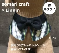 Item thumbnail for item 7800cab1-a88a-4aac-bcae-591bbecc6454