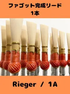 Item thumbnail for item 5f985bea-8a7a-4a71-a015-ce363c1413fa