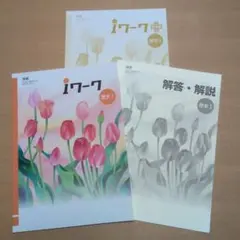 iワーク 歴史I 　iワークプラス 解答・解説付き