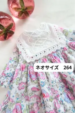 Item thumbnail for item ac7864a1-4a07-4043-9f8c-96b259fc91f0