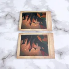 鬼滅の刃 ┊ ぱしゃこれ ┊ 冨岡義勇 ┊ No.31