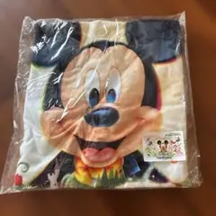 2026年最新】ディズニー バスタオル ワイドの人気アイテム - メルカリ