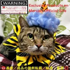 Item thumbnail for item 9d7b5953-a91b-46b7-8077-50116cf4309f