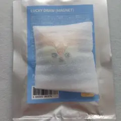 SEVENTEEN miniteen マグネット ジョシュア シュアスミ