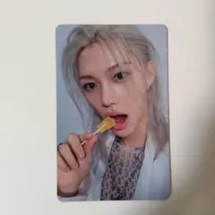 わん様 リクエスト 2点 まとめ商品