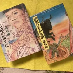 「燃える地の果てに」セット
