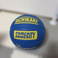 TACHIKARA SOMECITY 青バスケットボール