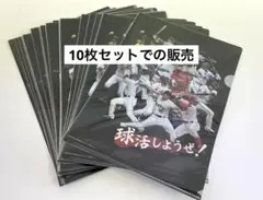 未使用　クリアファイル 10枚　まとめ売り