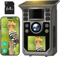 Item thumbnail for item a7a08f3e-b2d4-41ae-8778-2c7c47324e84