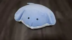 つぶらな瞳の水族館ぬいぐるみ