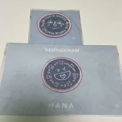 SEVENTEEN セブチ スングァン 刺繍 ワッペン 缶バッジ ブスングァン
