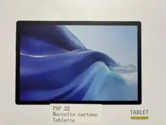 PAP 22 Raccolta cartone TABLETTE