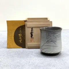 【未使用品】臥牛窯 現川焼 刷毛目 鉢 十三代 横石臥牛 Amazon.co.jp: 現川焼 臥牛窯 十三代横石臥牛作 藤の図耳付き壺