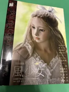 球体関節人形 作家 大竹 京 風少女 希少品 - メルカリ