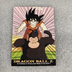 ドラゴンボール トレーディングコレクション N-33