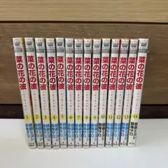 ミニコミ 網走一家 永井豪 キューティーハニー 合計17冊 購入のまま