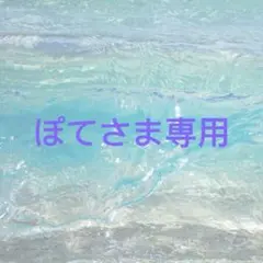 ぽてさま専用