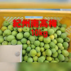 和歌山県産紀州南高梅10kg （大きさ不揃い）のサムネイル
