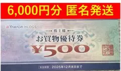 【匿名発送】ヤマダ電機 株主優待 お買物優待券 6000円分　送料無料