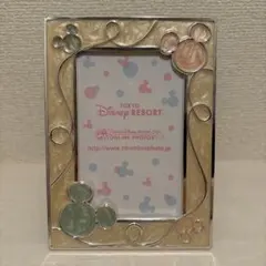 東京ディズニーリゾート フォトフレーム