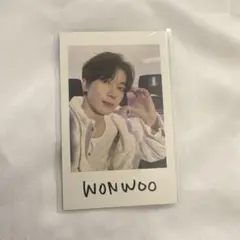 SEVENTEEN セブチ ウォヌ チェキ