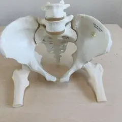 edowasetsu様 リクエスト 2点 まとめ商品