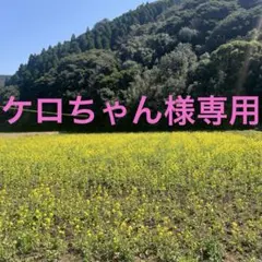 ケロちゃん様専用ページです