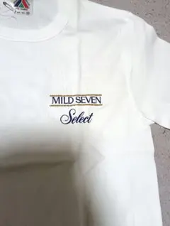 Item thumbnail for item afafbf10-c97a-4cde-a07c-c8de3cc8c5a8