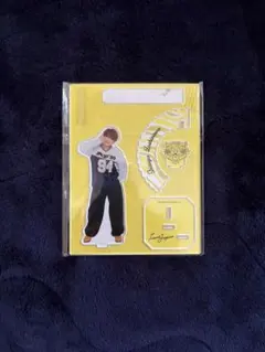 Item thumbnail for item be2ea58f-6537-4d72-9beb-3c5f511a18ea