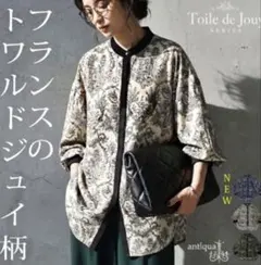 【試着のみ】antiquaアンティカ トワルドジュイ柄 長袖バンドカラー シャツ