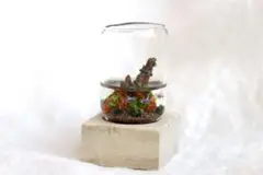 ミニチュア○アクアリウム
