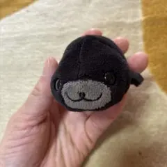 まめゴマ さくらゴマ ぬいぐるみクッション レトロ - メルカリ