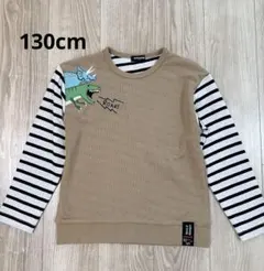 クレードスコープ 恐竜