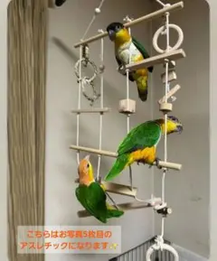 Item thumbnail for item a8c24545-8da3-4f4f-952b-40ccdb6e8a2d