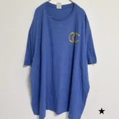 ★DELTA【3XL】プリント クルーネック 半袖 Tシャツ ブルー ストリートのサムネイル