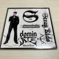 Stray Kids dominATE アクリルスタンドキーホルダー スンミン