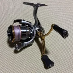 DAIWA ダイワ FREAMS 21フリームス LT5000-CXH MAG - メルカリ