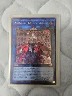 2026年最新】wcs2025の人気アイテム - メルカリ